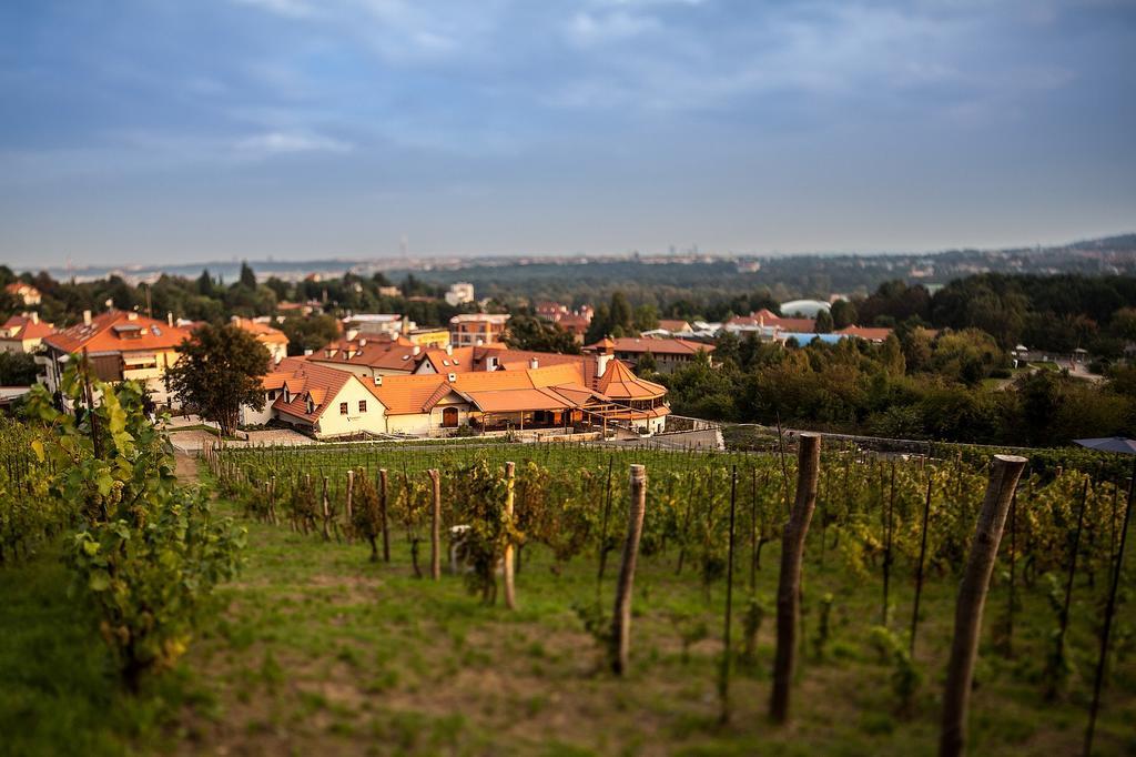 Vinice Salabka Apartment Prag